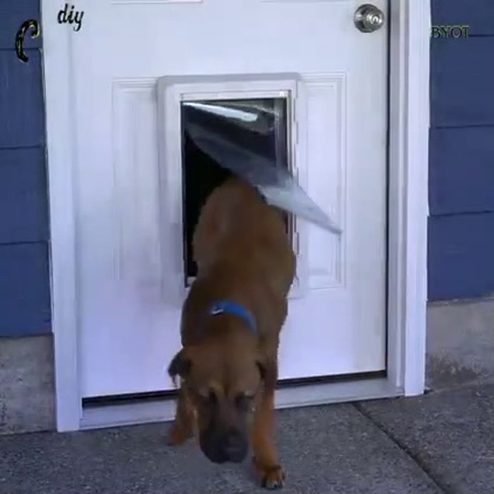 how to install dog door and exterior door easy Step by Step   electronic dog door  DIY
