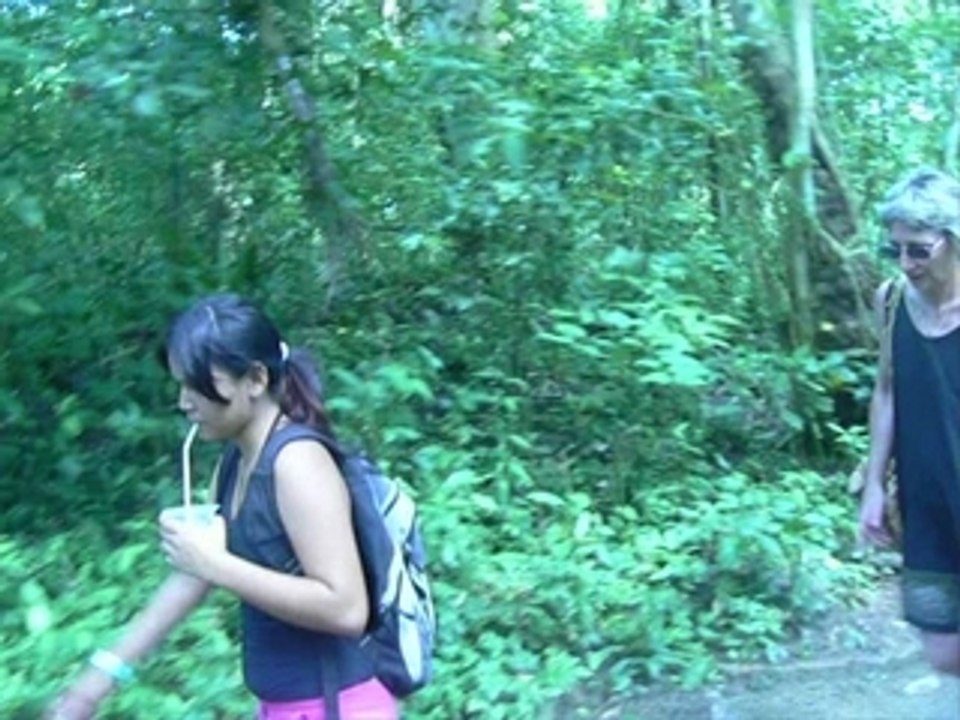 Mi santa marta 2007