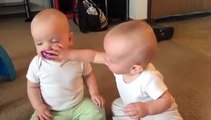 Twin baby girls fight over pacifier