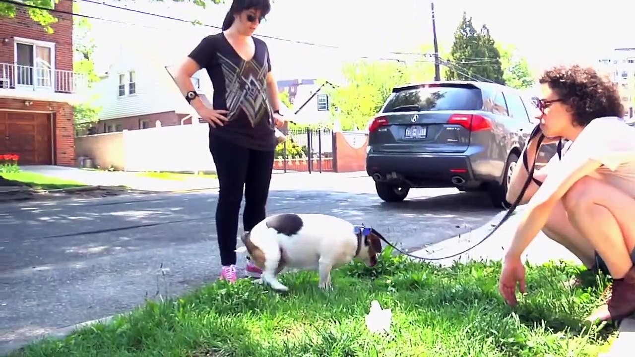 Broad City Ep9 - Dog Sitting