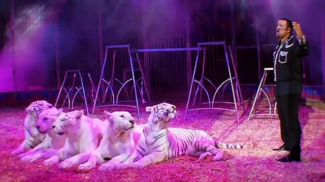 CIRCO HERMANOS GASCA, POR QUE AMAMOS EL CIRCO 2012