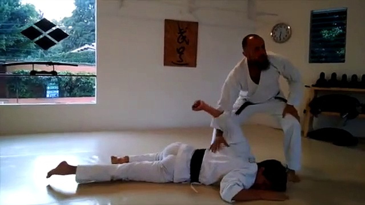 HARD BUDO · Aikido Real