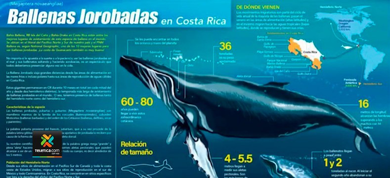 tn7-ICT-crea-guía-turística-de-Osa-080721
