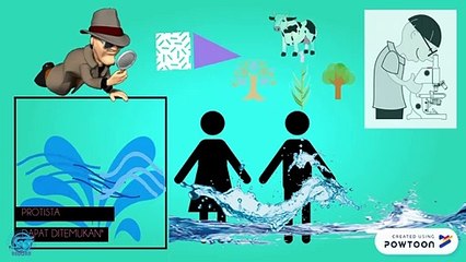 Materi Kingdom Protista - Mengenal lebih dekat Tentang Dunia Protista
