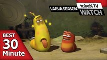 RANDOM PLAY I Watch 30 minutes a day!! I Ep.116 I Larva Cartoon I Larva Official Channel  I part.1
