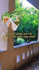 Chú bảo vệ chu đáo tại khu cách ly