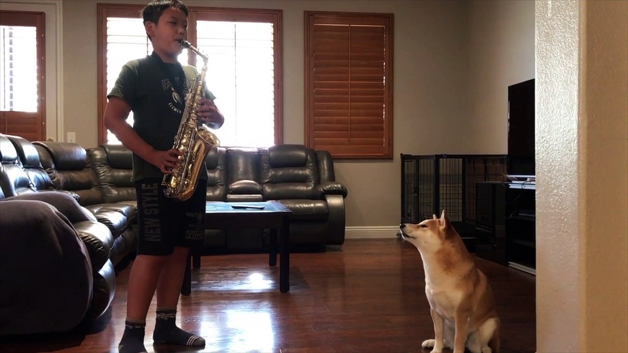 Doggy Joins Duet With Saxophone