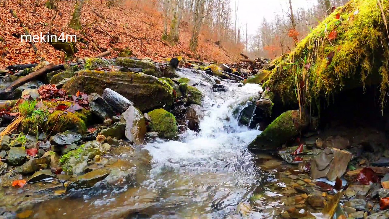 Water River Billionaire Visualization video Amazing clips luxury lifestyle Mekin4u channel #mekin4m