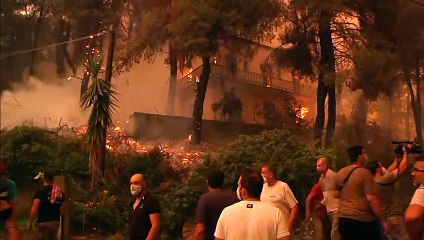 Grecia, ancora fiamme. Da Atene una richiesta internazionale d'aiuto