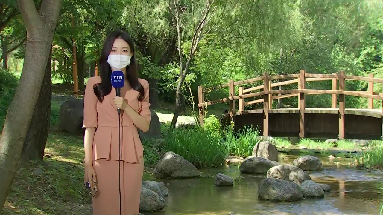 [날씨] 내륙 낮 더위, 충청 이남 소나기...동해안 비바람 / YTN