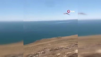 Tedavileri tamamlanan kuşlar doğaya salındı