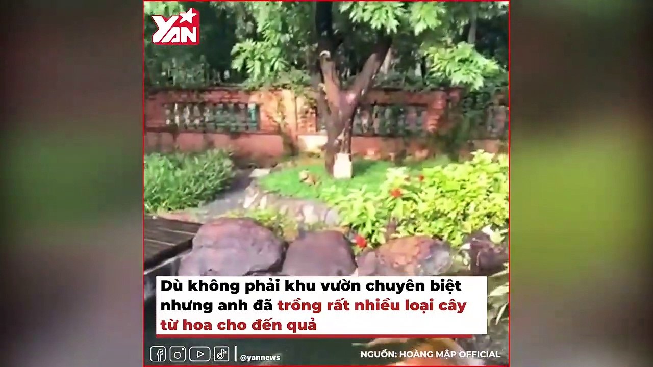 Khu vườn tiền tỷ của sao Việt: Lý Hải trồng ớt nửa tỷ, Minh Hằng làm chỗ nghỉ