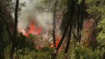 La isla de Eubea, en Grecia, desaloja dos mil residentes tras los incendios