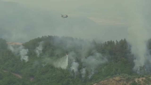 Desastres naturales en distintos puntos del planeta