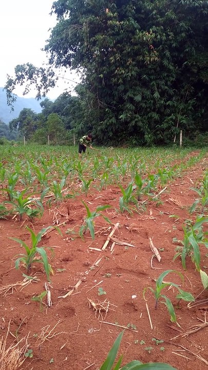 Serhat Feat Zerrin Deep Remix Free Music DOLBY ATMOS