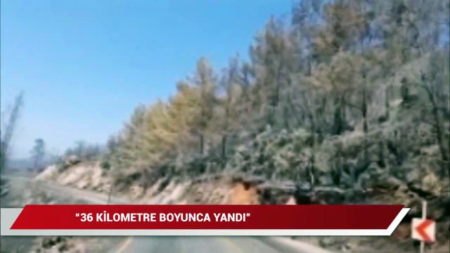 Şahan Gökbakar yanan ormanların son halini gösterdi: Diliniz tutulacak