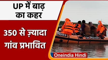 Video herunterladen: UP Flood: बाढ़ से 350 से ज्यादा Village प्रभावित, Yamuna-Ganga खतरे के निशान से उपर | वनइंडिया हिंदी