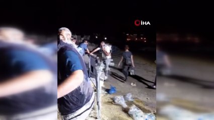 Gönüllüler tır dorsesinde ölüme terk edilen atlar için seferber oldu