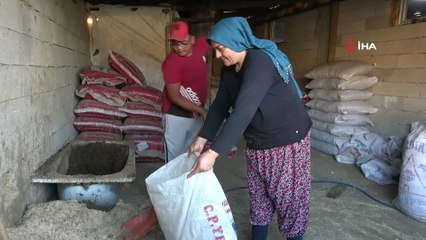 Gelin geldiği köyde çiftlik kurdu