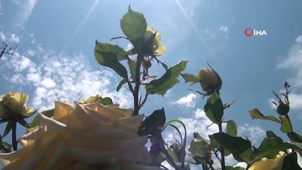 Dermatoloji uzmanından D vitamini uyarısı