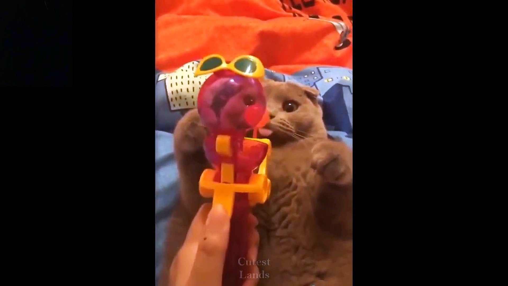 ⁣Cute Baby Animals & Funny Pets Video