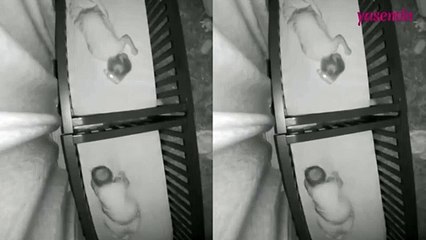 Diğer karyoladaki ikizine biberon fırlattı! O anlar kamera sayesinde görüldü...