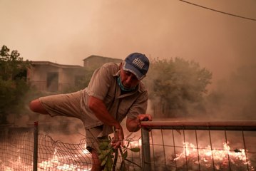 Grecia sigue luchando contra los incendios en una "noche difícil" en la isla de Eubea