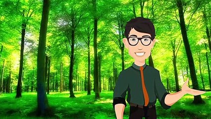 Che differenza c'è tra le parole bosco e foresta?