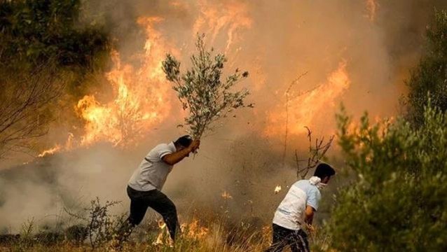 Son Dakika: Milas ve Köyceğiz yangınları dışında tüm orman yangınları kontrol altına alındı