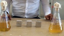 Araştırma Görevlisi'nden çimentosuz betonları bakteri yoluyla onaran keşif
