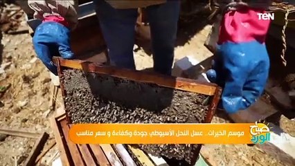 موسم الخيرات.. عسل النحل الأسيوطي جودة وكفاءة و سعر مناسب