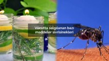Evde doğal sivrisinek kovucu nasıl yapılır? Doğal sinek kovucu tarifleri