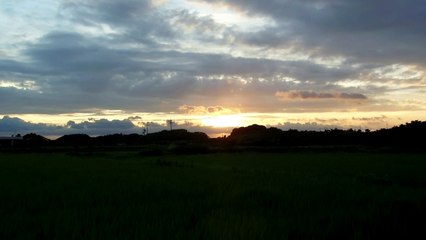 Sunset Over the Rice Fields of Japan