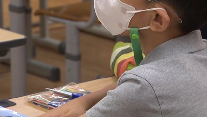 4단계도 1/3이상 학교 간다...단계적 등교 확대로 교육회복 / YTN