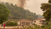 Yunanistan'da orman yangınları büyük doğa felaketine neden oldu