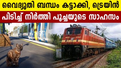 കണ്ണൂർ സ്റ്റേഷനിൽ ഇന്റർസിറ്റി എക്സ്പ്രസ്സ്‌ പിടിച്ചിട്ട് പൂച്ച | Oneindia Malayalam