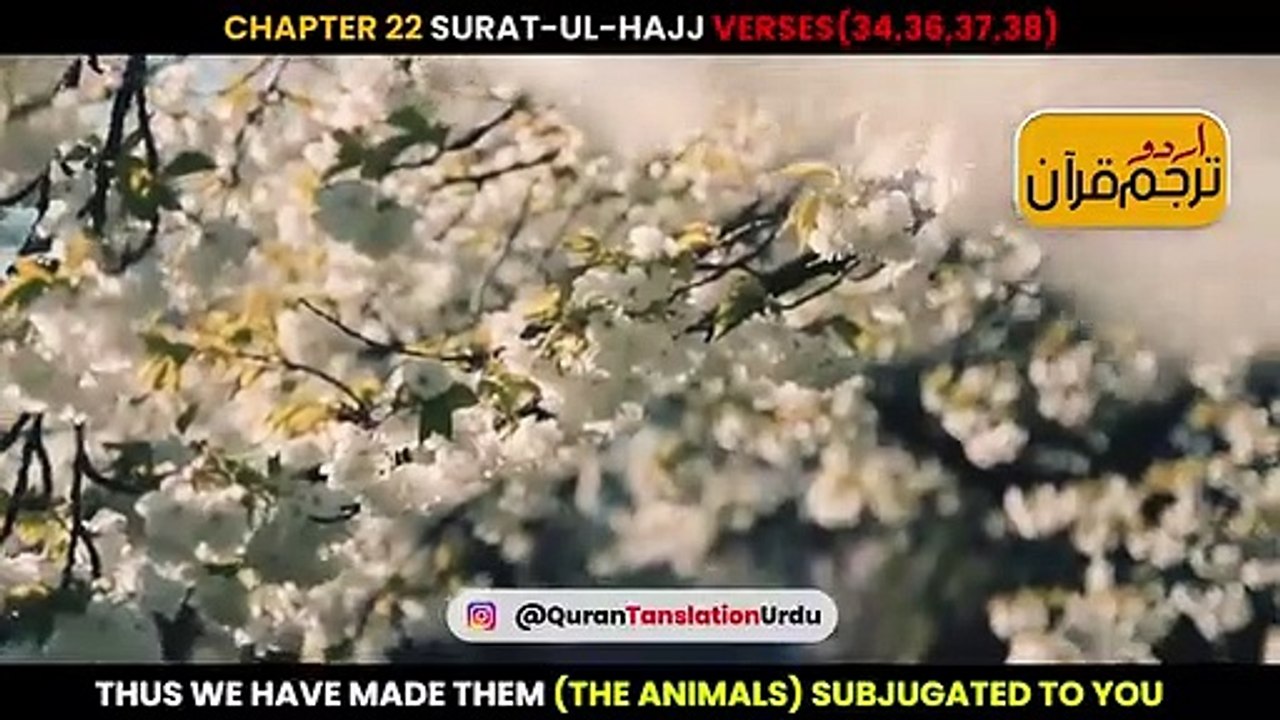 ﷽_Surat-ul-Hajj_Verses_34,36,37,38_Urdu_Translation_Watch_it