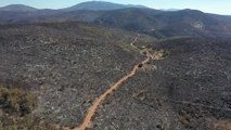 (DRONE) Bodrum ve Milas'ta yanan ormanlık alanlar havadan görüntülendi