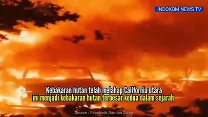 Kebakaran Hutan Kembali Landa California, Warga Mengungsi