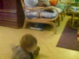 1ers pas hylann 1, 14 mois 1/2