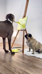 Puppy Dog Paints a Portrait of Her Pug Friend