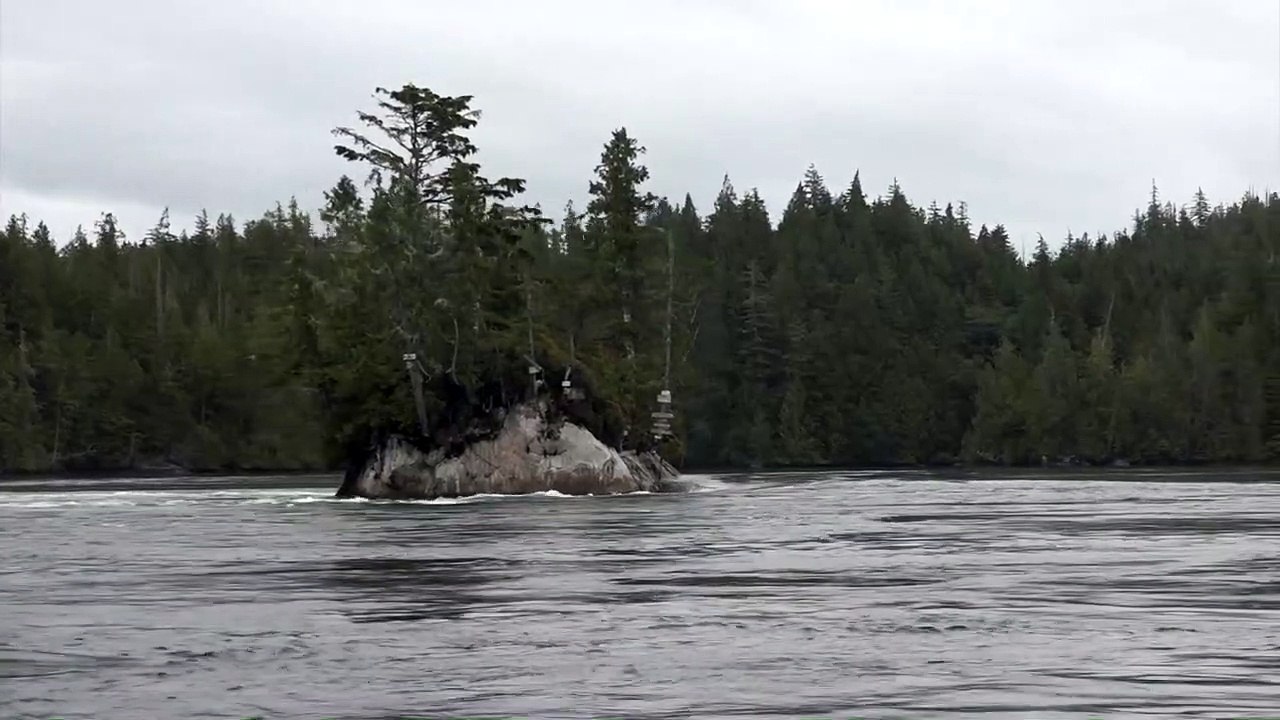 Île flottante ou illusion ?