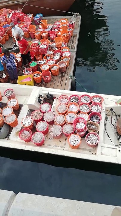 Fishing time