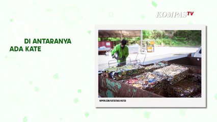 Keren! Ini Dia Kamikatsu, Kota Tanpa Sampah di Negeri Sakura