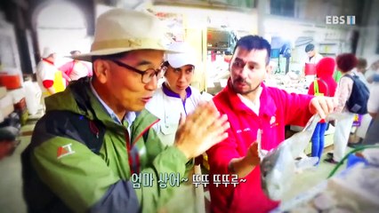 세계테마기행 - 남미, 취향 저격 가이드북- 사랑한다면 이들처럼, 아르헨티나_#001