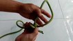 3 practical ways to tie knots in life