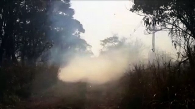 Atenção: Incêndio às margens da BR-277 prejudica visibilidade aos motoristas