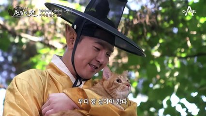 은혜갚은 고양이(໑ↀㅅↀ໑)! 고양이 덕에 호랑이 밥이 되지 않은 선비
