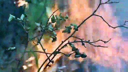 Mudanças Climáticas: Acordo de Paris não será suficiente