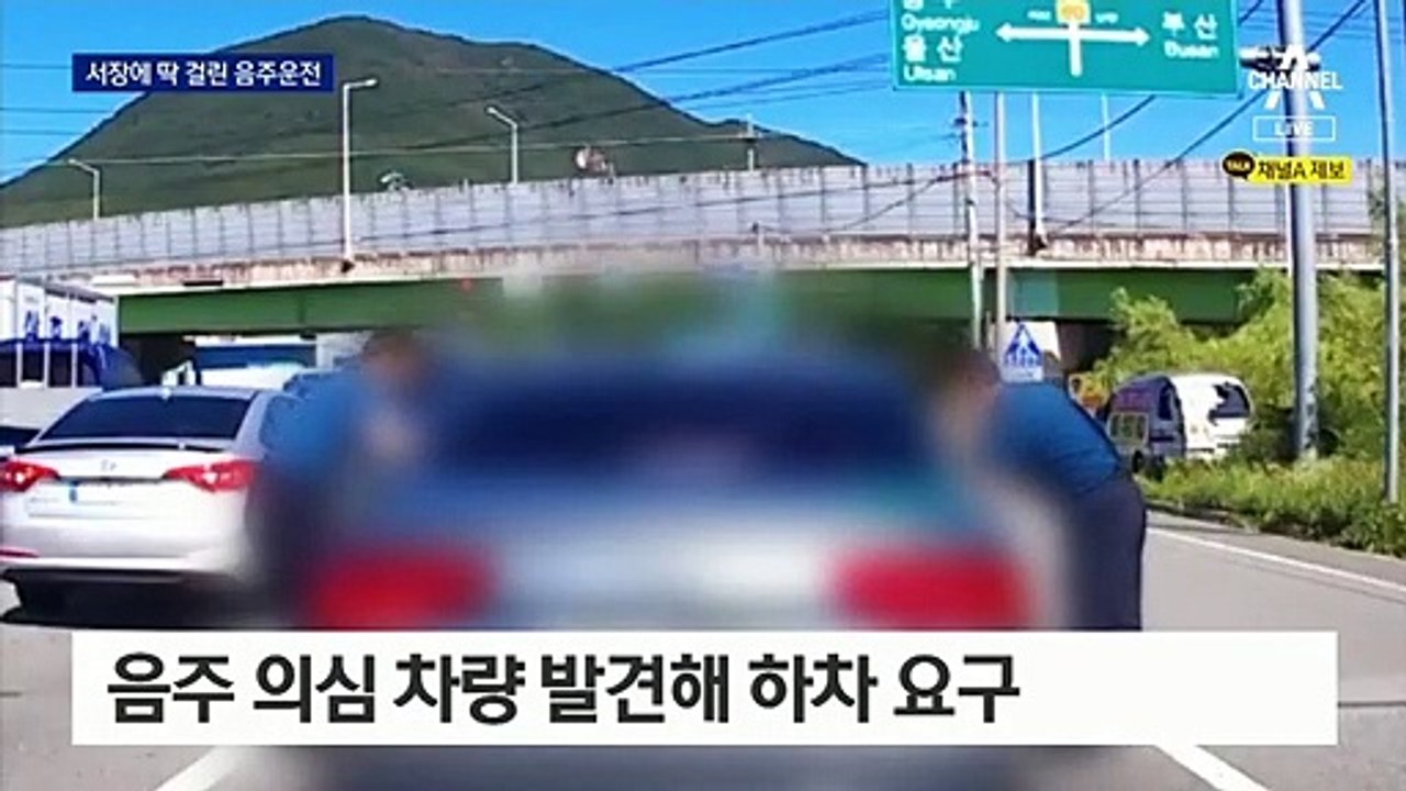 “저 차 이상한데?”…경찰서장에 딱 걸린 대낮 음주운전